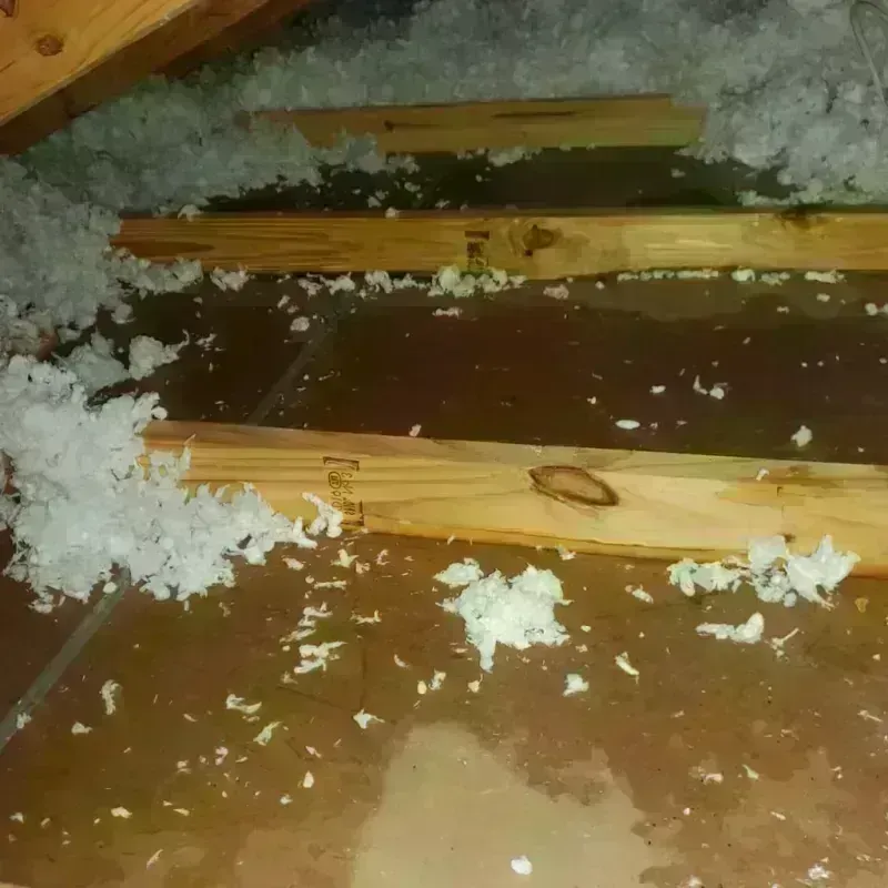 Attic Water Damage in Upper Brookville, NY